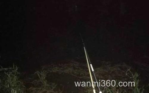 夜钓_2