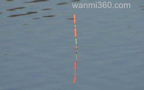 钓鱼看漂_2