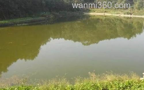 鱼塘设计_3