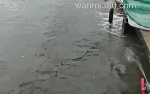 大棚养虾_1