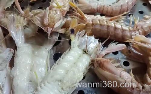 皮皮虾_3