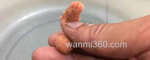 搓饵_0