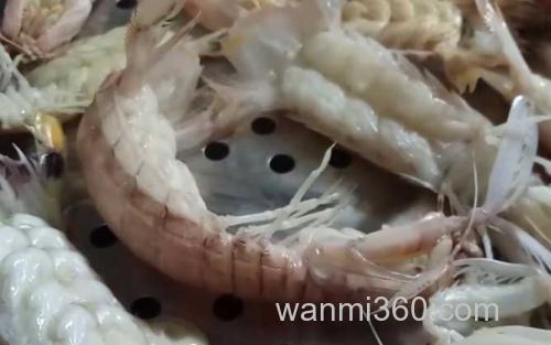 皮皮虾_2