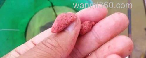 搓饵_0
