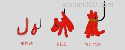 红虫钓鱼_0