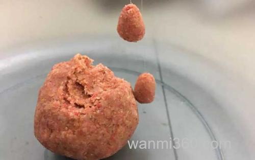 饵料_4