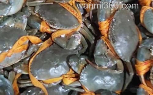 膏蟹_1