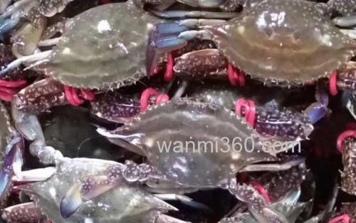 螃蟹_0