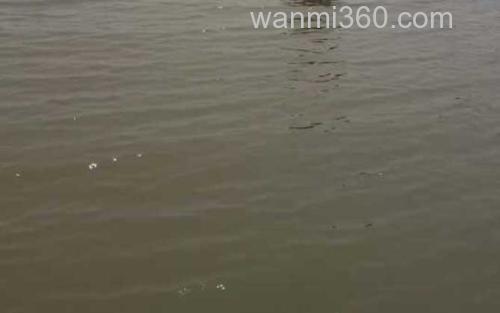 水库钓鱼_4
