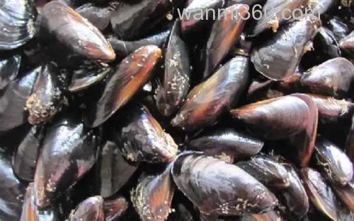 海虹_2