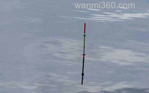 钓鱼看漂_5