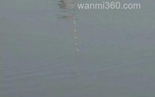 调漂_0