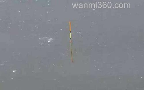 传统钓立漂调漂_0