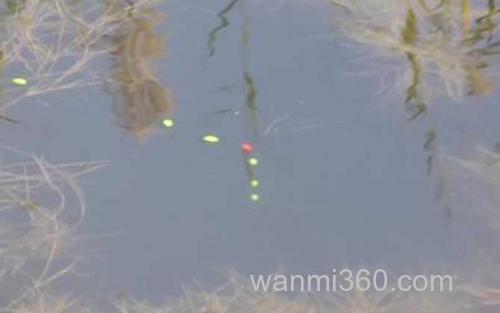 七星漂_2