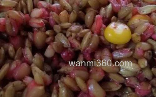 自制饵料_3