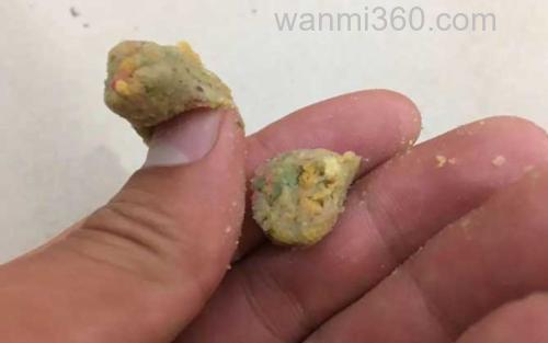 饵料_2