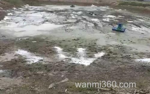 生石灰_0