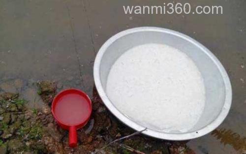 漂白粉_1