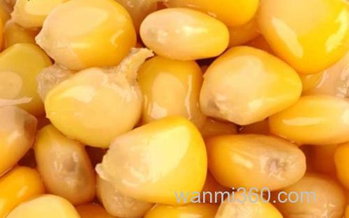 新鲜玉米_4