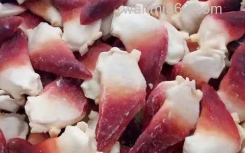 北寄贝_0