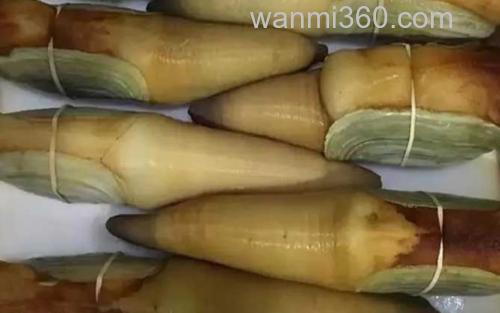 象牙蚌_2