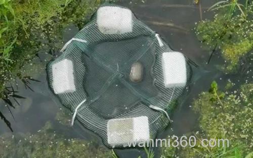 虾笼_1