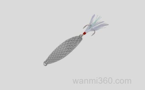 亮片_2