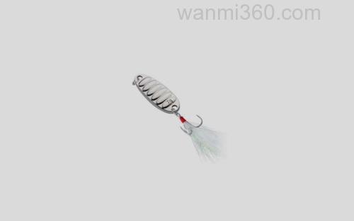 亮片_0