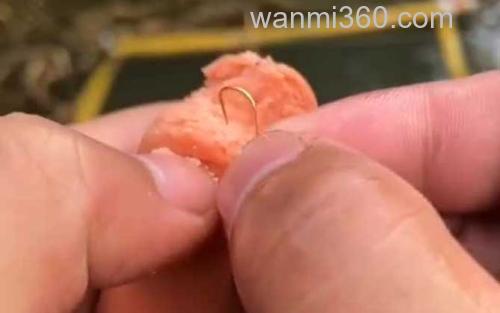 火腿肠钓鱼_0