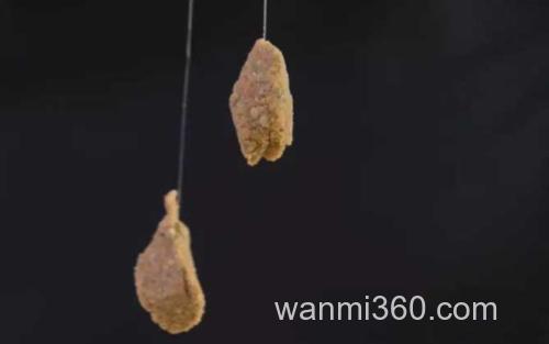 饵料_0