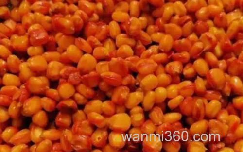 老玉米_2
