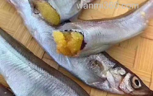 多春鱼_3