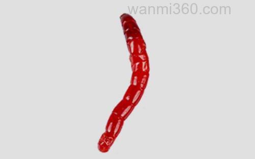 红虫_4
