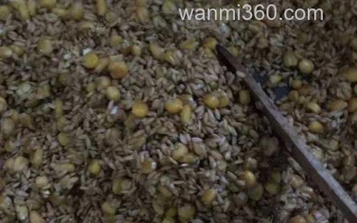 自制窝料_4