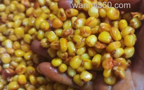 自制窝料_5