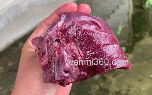 禽畜内脏_4