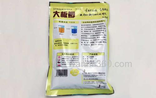 大板鲫_3