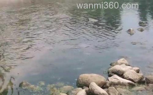 活水_0