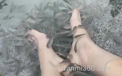 鱼疗_3