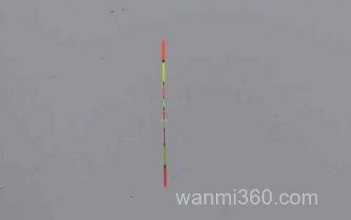黑坑钓鱼调漂方法_0