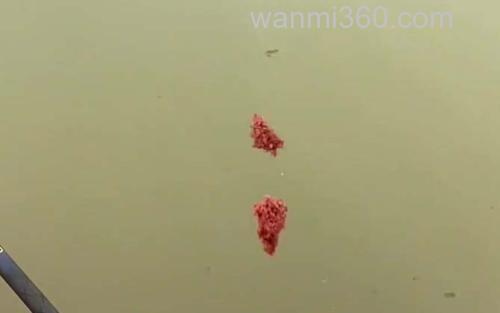 拉饵_3