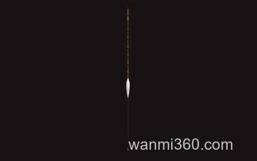 加粗尾浮漂_0