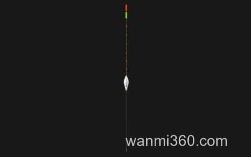 加粗尾浮漂_1