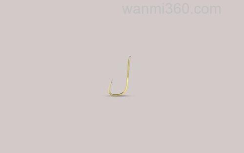 金袖钩_1