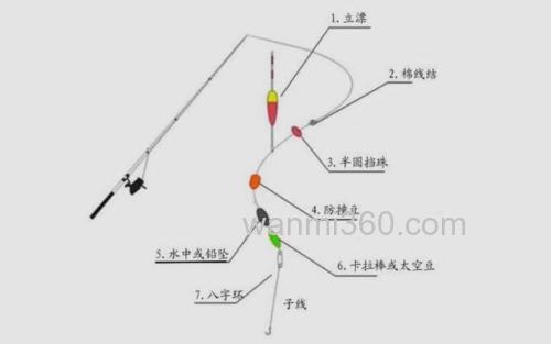 定层线组_4