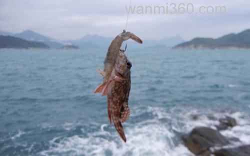 海钓_2