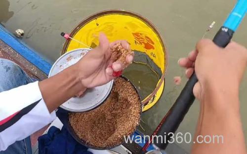 黑坑钓鱼_4