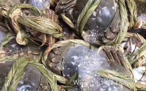 大闸蟹_1