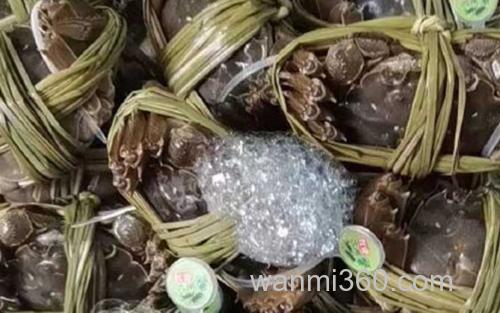 大闸蟹_0