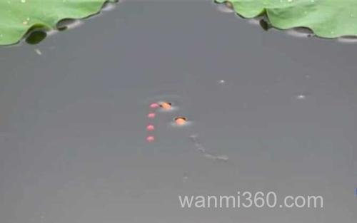 七星漂_2